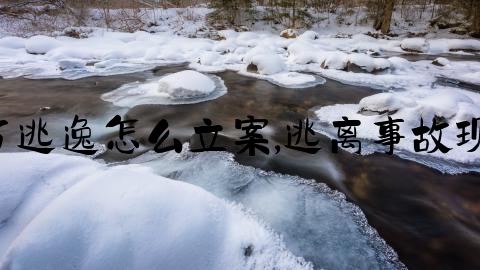 交通事故对方逃逸怎么立案,逃离事故现场 司法解释